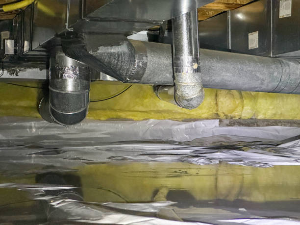 Best Carpet water damage restoration  in Vaiden, MS