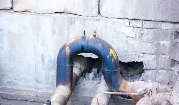 Best Water damage repair service  in Vaiden, MS