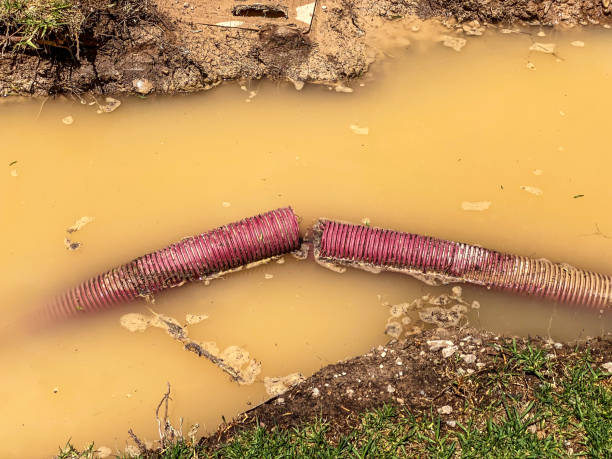 Sewage cleanup and water damage restoration in Vaiden, MS